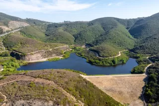 Photo #5: 240017118 Listing