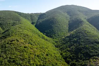 Photo #6: 240017118 Listing