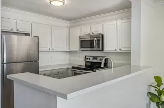 Photo #5: 240017182 Listing