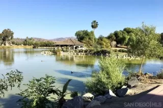 Photo #1: 240017291 Listing 