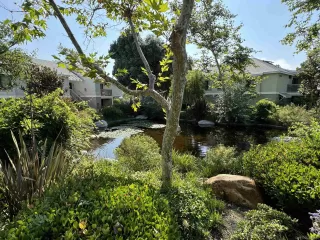 Photo #4: 240017460 Listing