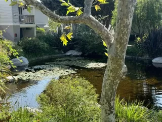 Photo #5: 240017460 Listing