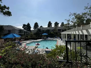 Photo #6: 240017460 Listing