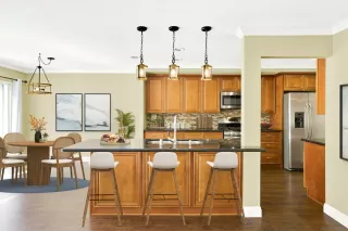 More Details about MLS # 240017478 : 12552 CAMARERO COURT