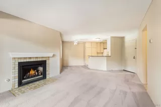 Photo #5: 240018392 Listing