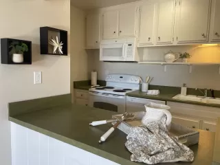 Photo #1: 240018777 Listing