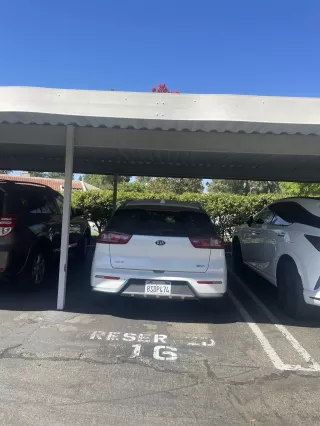 Photo #4: 240018958 Listing