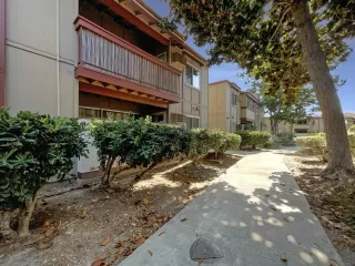 Photo #5: 240019059 Listing