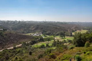 Photo #1: 240019492 Listing