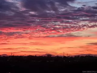 Photo #5: 240019492 Listing