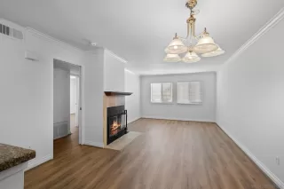 Photo #2: 240019722 Listing