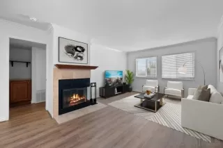 Photo #3: 240019722 Listing