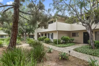 Photo #1: 240019863 Listing 