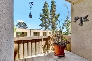 Photo #5: 240020148 Listing