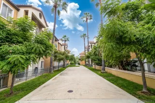 Photo #4: 240020352 Listing