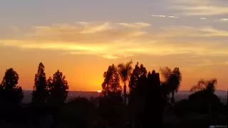 Photo #6: 240020728 Listing