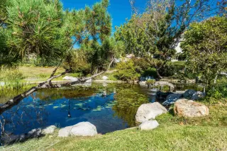 Photo #1: 240021120 Listing