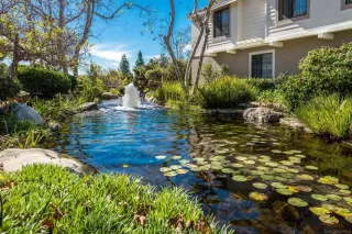 Photo #4: 240021120 Listing