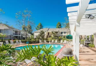 Photo #6: 240021120 Listing