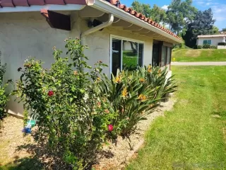 Photo #5: 240021308 Listing 