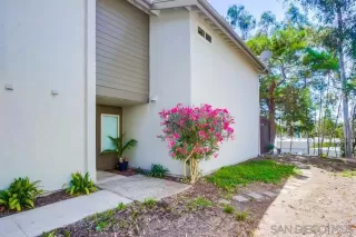 Photo #2: 240021528 Listing