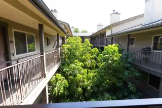 Photo #4: 240021666 Listing