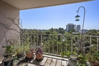 Photo #1: 240021966 Listing 