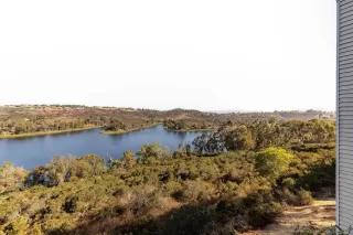 Photo #1: 240021969 Listing 