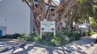 Photo #2: 240022022 Listing