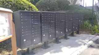 Photo #4: 240022022 Listing