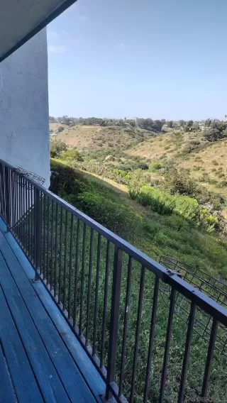 Photo #5: 240022022 Listing