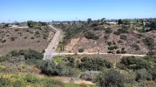 Photo #6: 240022022 Listing