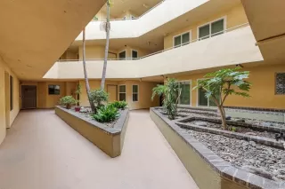 Photo #2: 240022920 Listing