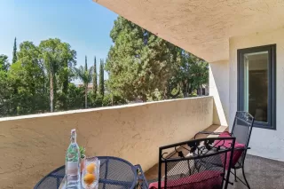 Photo #5: 240022960 Listing