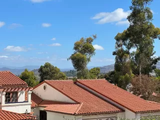 Photo #6: 240022981 Listing 