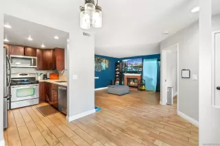 Photo #1: 240023629 Listing