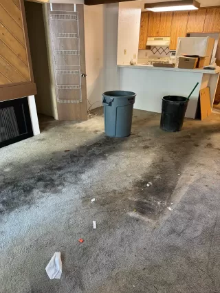 Photo #1: 240023802 Listing 