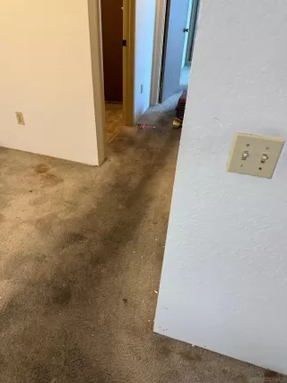 Photo #3: 240023802 Listing 