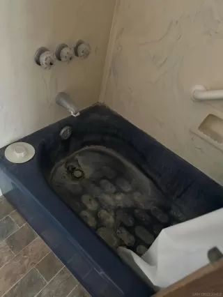 Photo #5: 240023802 Listing 