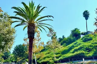 Photo #1: 240023894 Listing