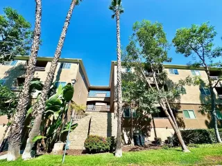 Photo #3: 240023894 Listing