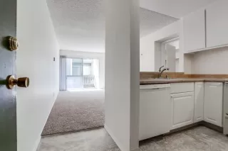 Photo #2: 240024008 Listing 