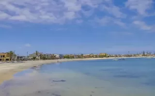 Photo #4: 240024100 Listing