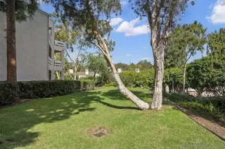 Photo #3: 240024542 Listing