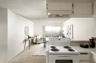 Photo #5: 240024843 Listing 