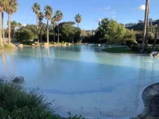 Photo #2: 240024922 Listing 