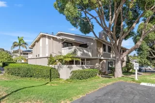 Photo #1: 240024998 Listing