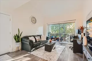 Photo #1: 240025035 Listing