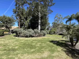 Photo #1: 240025101 Listing