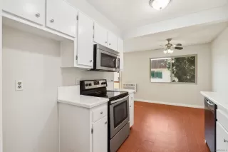 Photo #4: 240025240 Listing